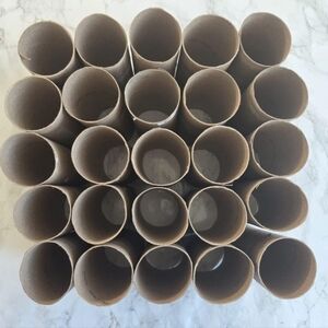 Empty Toilet Paper Rolls (25)